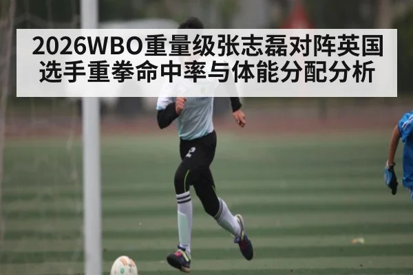 2026WBO重量级张志磊对阵英国选手重拳命中率与体能分配分析